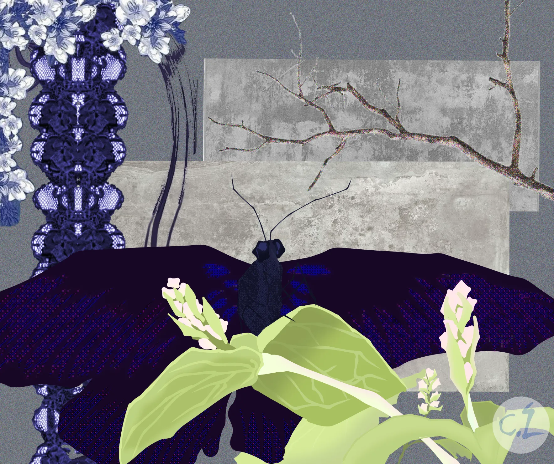 Insipirational Insect