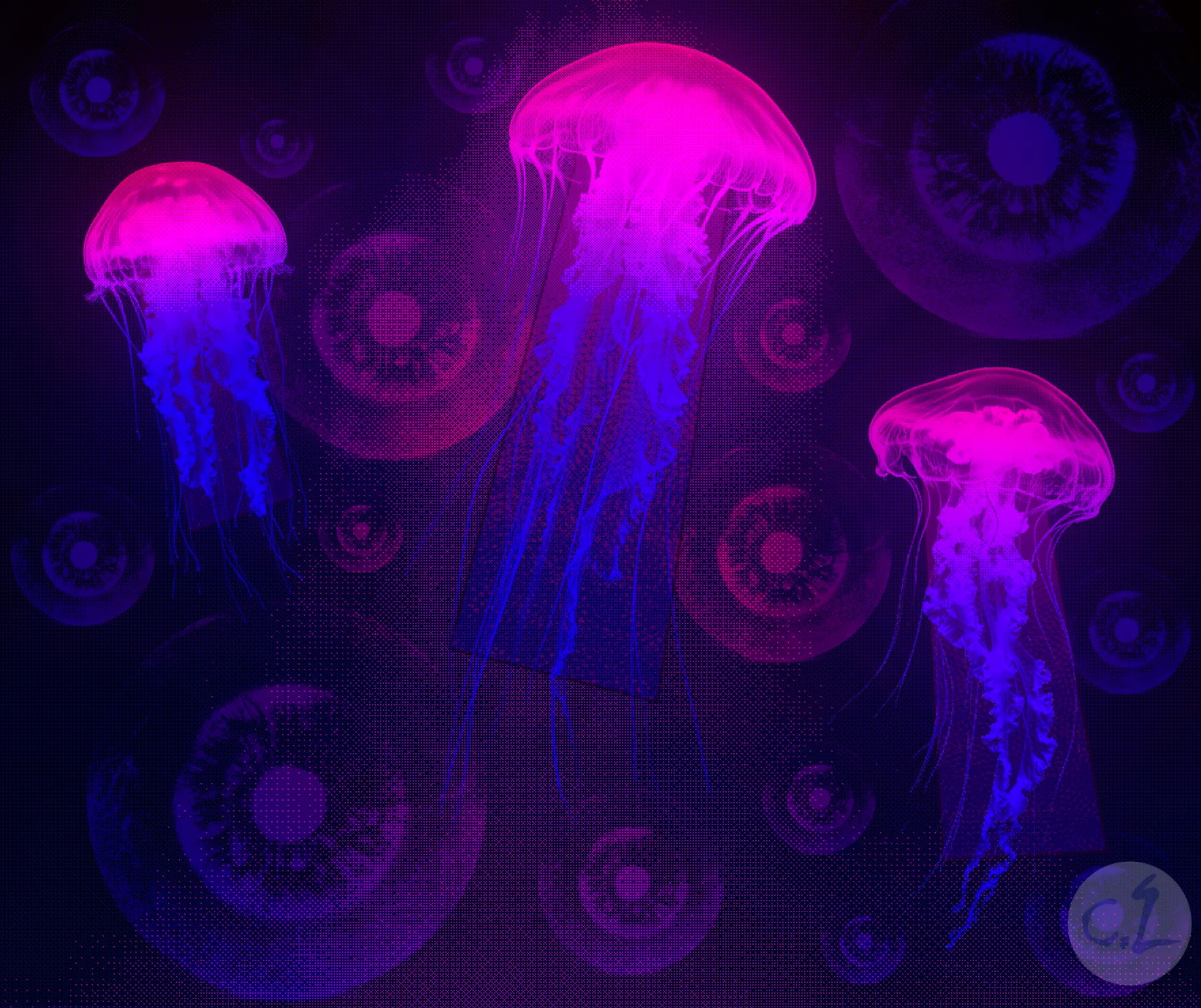 Jellyfish Sightful Palooza